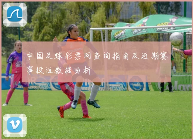 中国足球彩票网查询指南及近期赛事投注数据分析