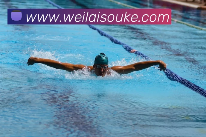 App Interface Preview